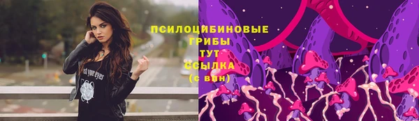 стаф Алексеевка