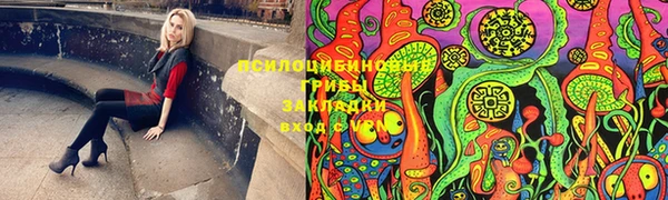 стаф Алексеевка