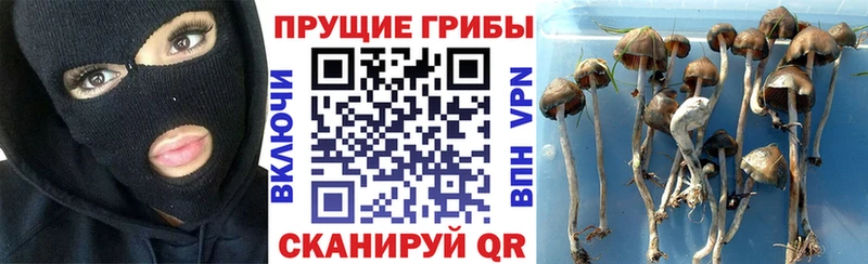 Галлюциногенные грибы прущие грибы что такое Невьянск